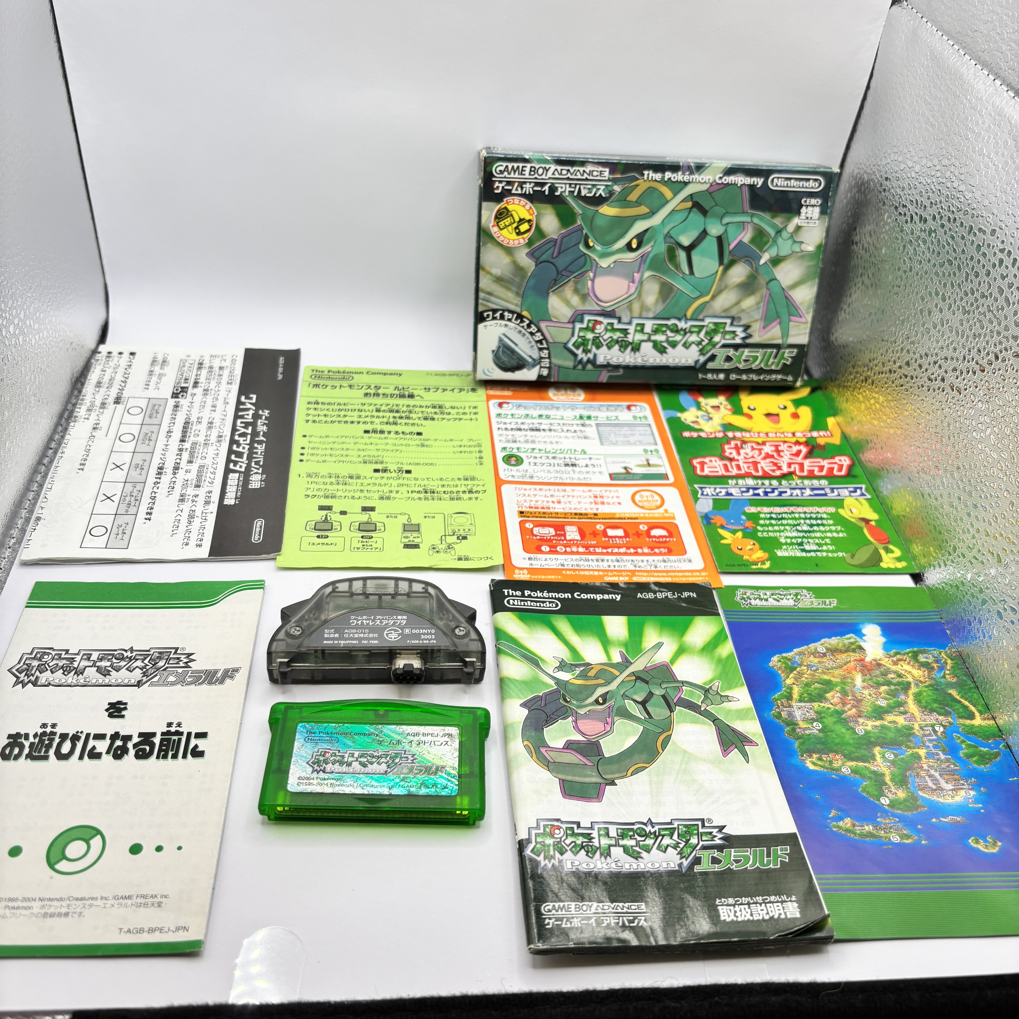 ゲームソフトの欧州向け販売